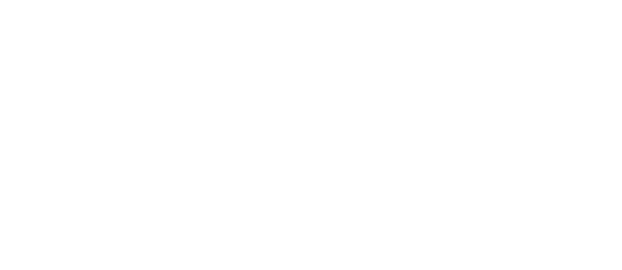 La Decima Musa